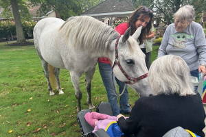 Horse Of A Different Color