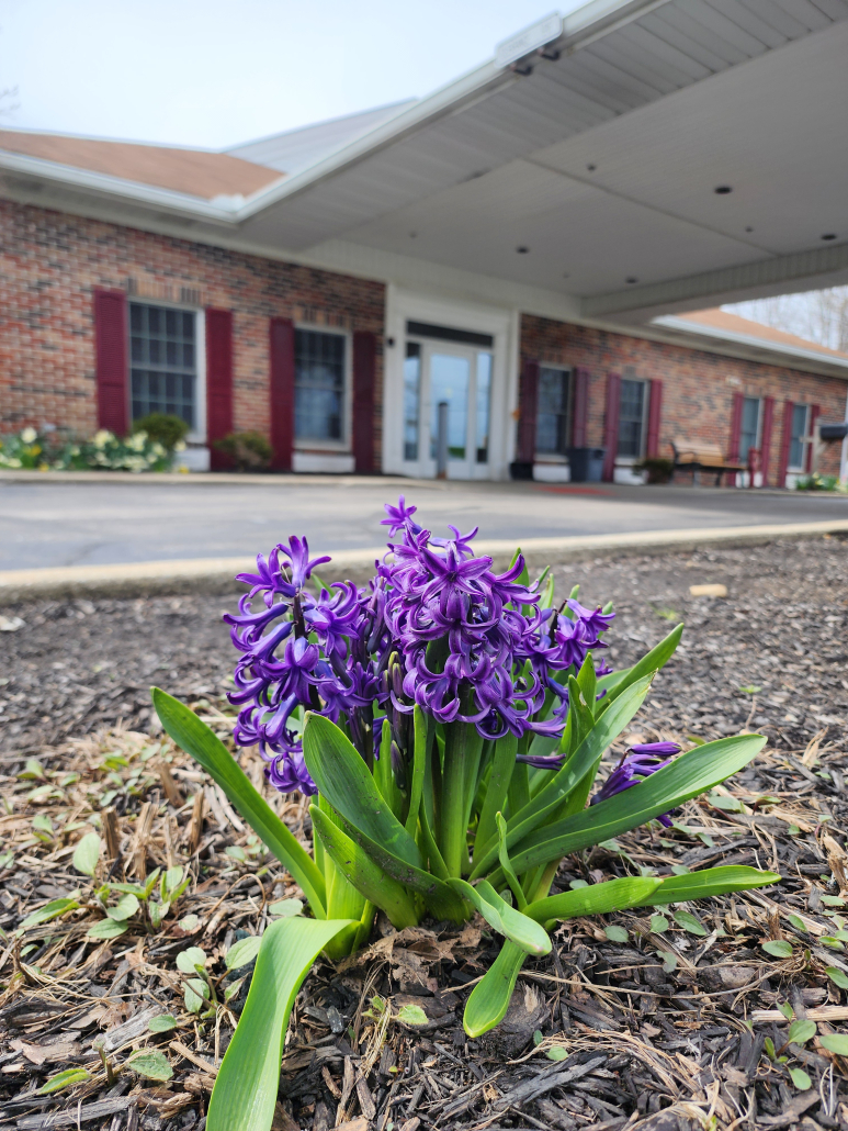 Kensingtion At Anna Maria Entrance Front Entrance Of Kensington At Anna Maria