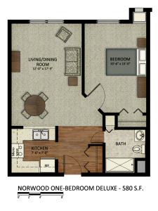 Norwood 1 Bdrm Deluxe